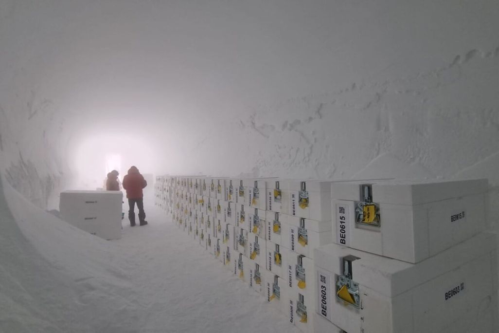 a freezer room filled with boxes