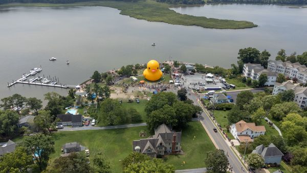 The giant rubber duck visited Leonardtown MD this summer thumbnail