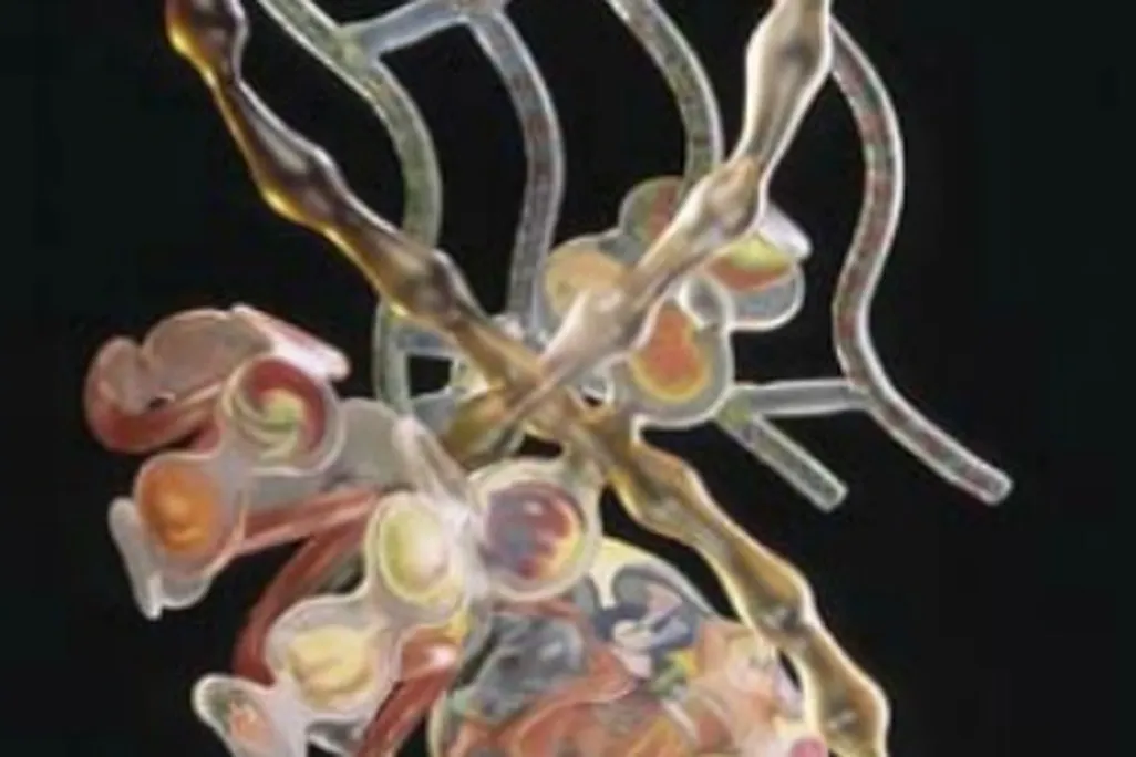 Follow glass artist Ginny Ruffner through trial and triumph in the documentary "A Not So Still Life."