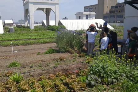 A group of students on a tour of Brooklyn Grange.
