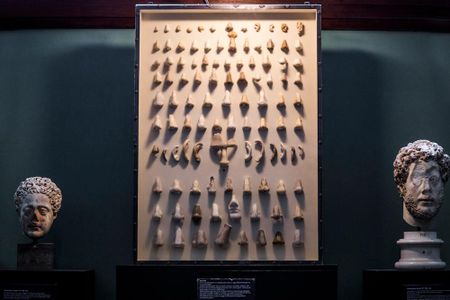 The Nasotek is on display at the Ny Carlsberg Glyptotek, an art museum in Copenhagen, Denmark.