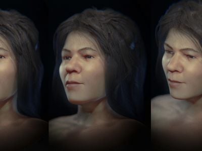 A facial reconstruction of a 17-year-old Stone Age woman
