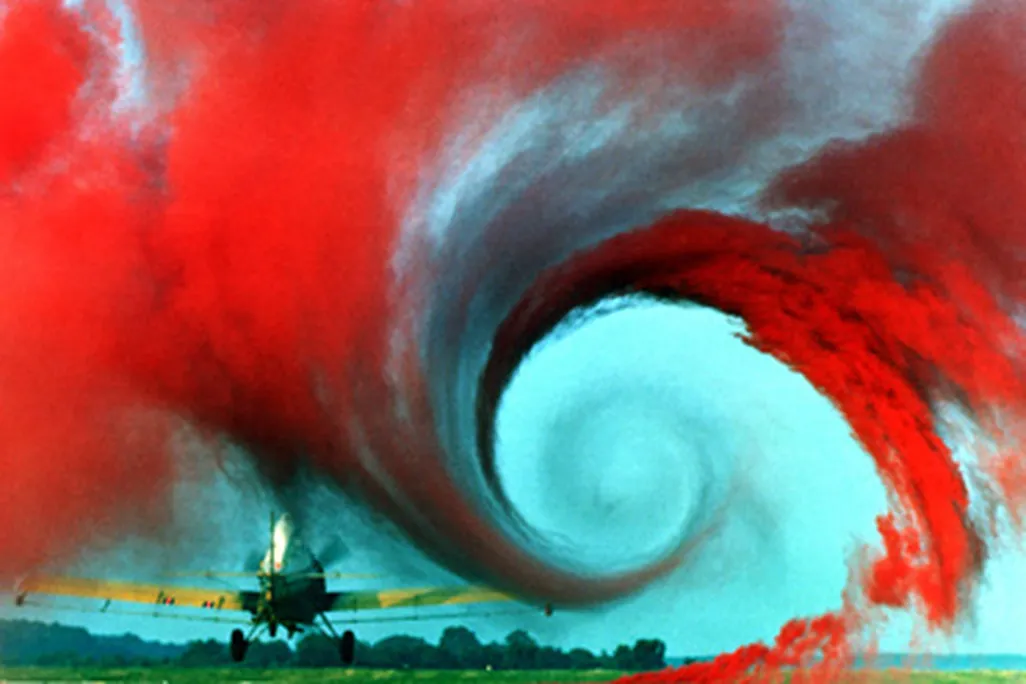 The swirling wing vortex