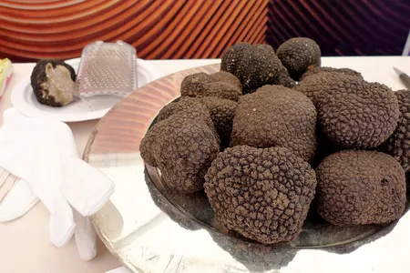 Black Truffles