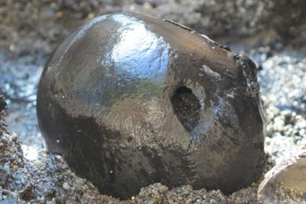 20120815104009skull.jpg