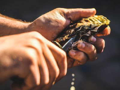 As the North Carolina farmed oyster industry grows, advocates hope to fuel consumer demand and build the industry&rsquo;s profile with a tourism &ldquo;trail.&rdquo;