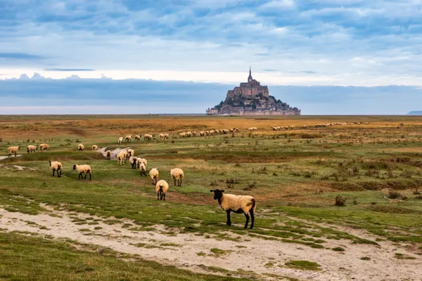 The sheep and the abbey thumbnail