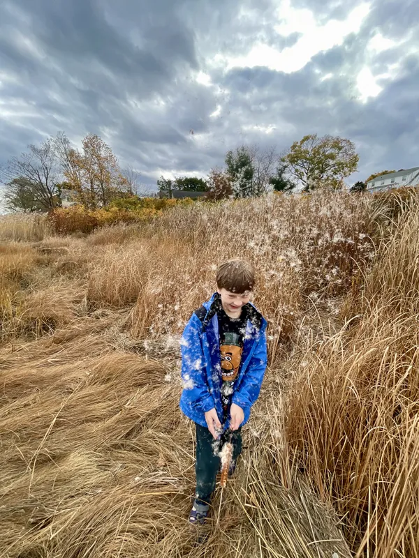 Releasing seeds on the coast of Rhode Island thumbnail