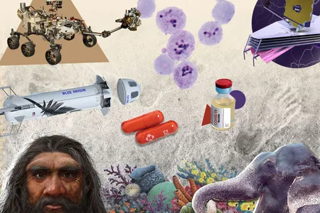 From amazing firsts on Mars to the impacts of climate change on Earth, these science stories stood out as the most important of 2021