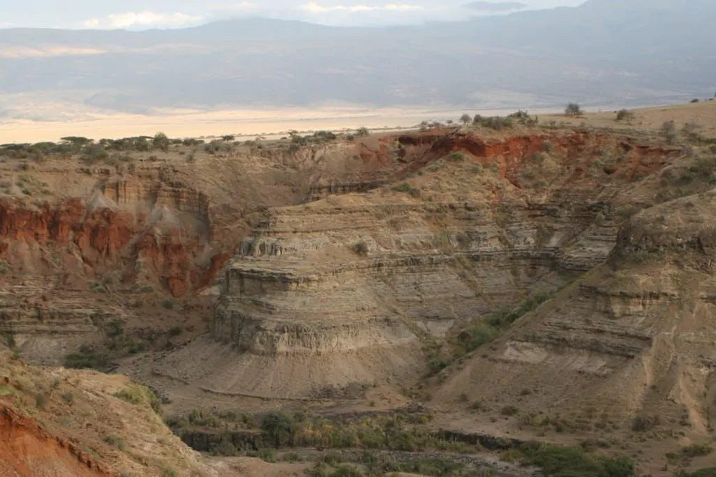 Cradle of Humankind