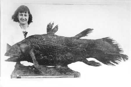 Marjorie Courtenay-Latimer stands with the taxidermied remains of her groundbreaking discovery.