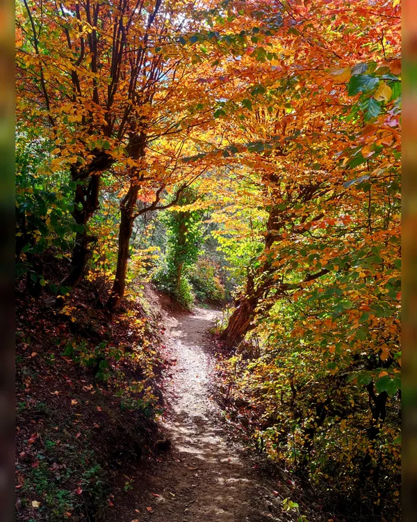 Corridor of light thumbnail