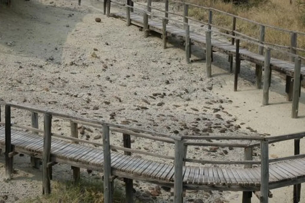 catwalk site.jpg
