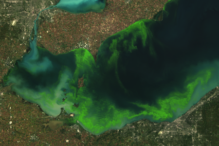 Algae bloom on Lake Erie in 2011
