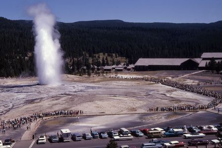 Old Faithful erupts before a crowd of onlookers in Wyoming's Yellowstone National Park in 1966.
