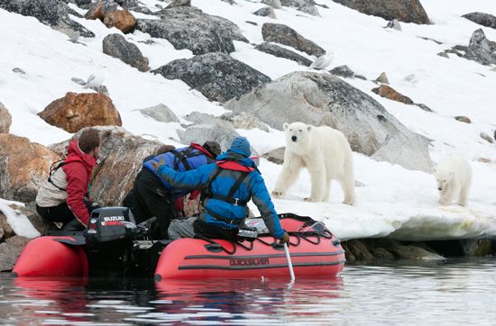 Brad Ohlund filming a polar bear for To the Arctic 3D