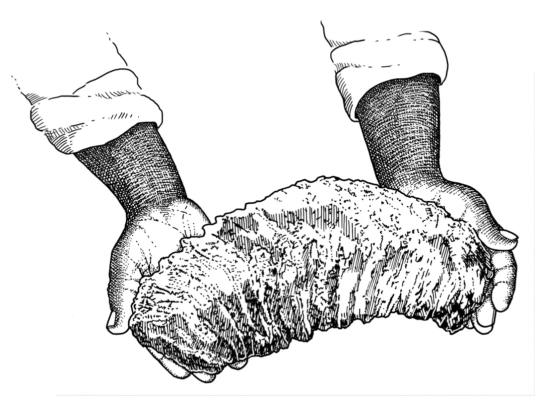 Drawing of an enslaved African holding a mammoth molar