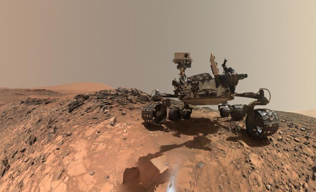 Curiosity Selfie