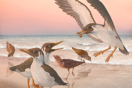 Artist&rsquo;s reconstruction of&nbsp;Janavis finalidens