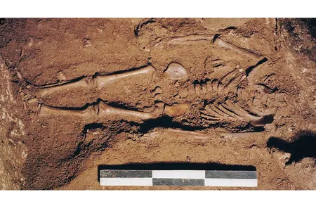 The infant's skeleton was excavated in 1998 in a cave in Puglia.