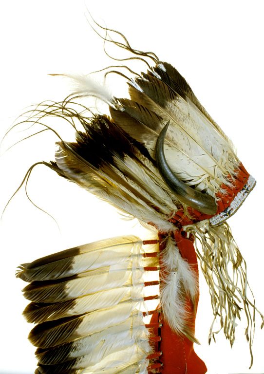 Native American headdress with feathers and horns.