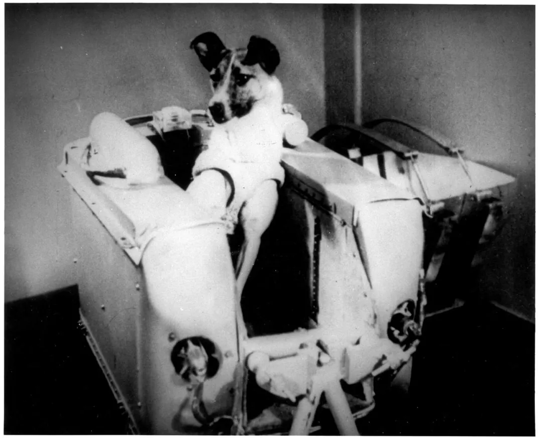 The Sad, Sad Story of Laika, the Space Dog, and Her One-Way Trip Into Orbit  | At the Smithsonian| Smithsonian Magazine