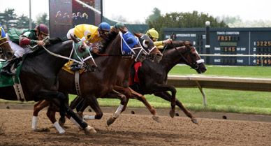 A jewel in the bluegrass crown, the Keeneland Race Track, allows the public to watch morning workouts.
