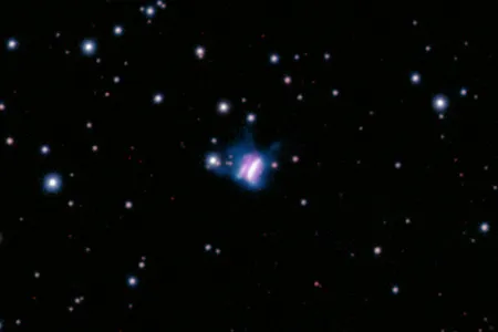 The planet-forming disk is made of gas and dust.