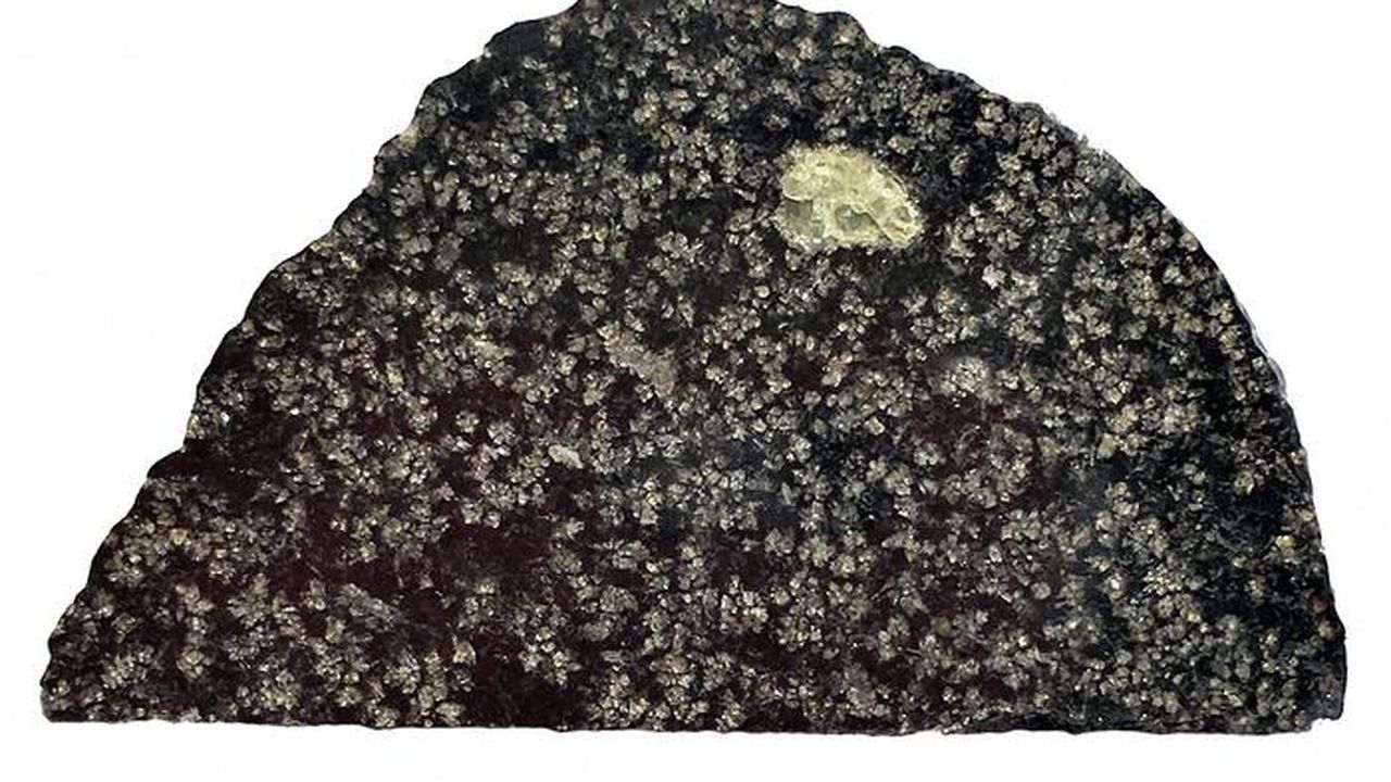 A Rare Meteorite Found in the Sahara Desert Offers Evidence of a
