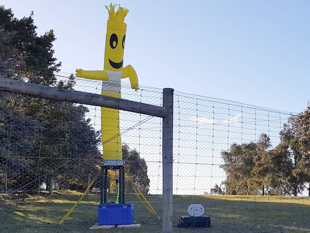 An inflatable yellow tube man stands behind a fence.