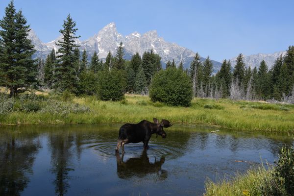 Grand Teton Reflections thumbnail