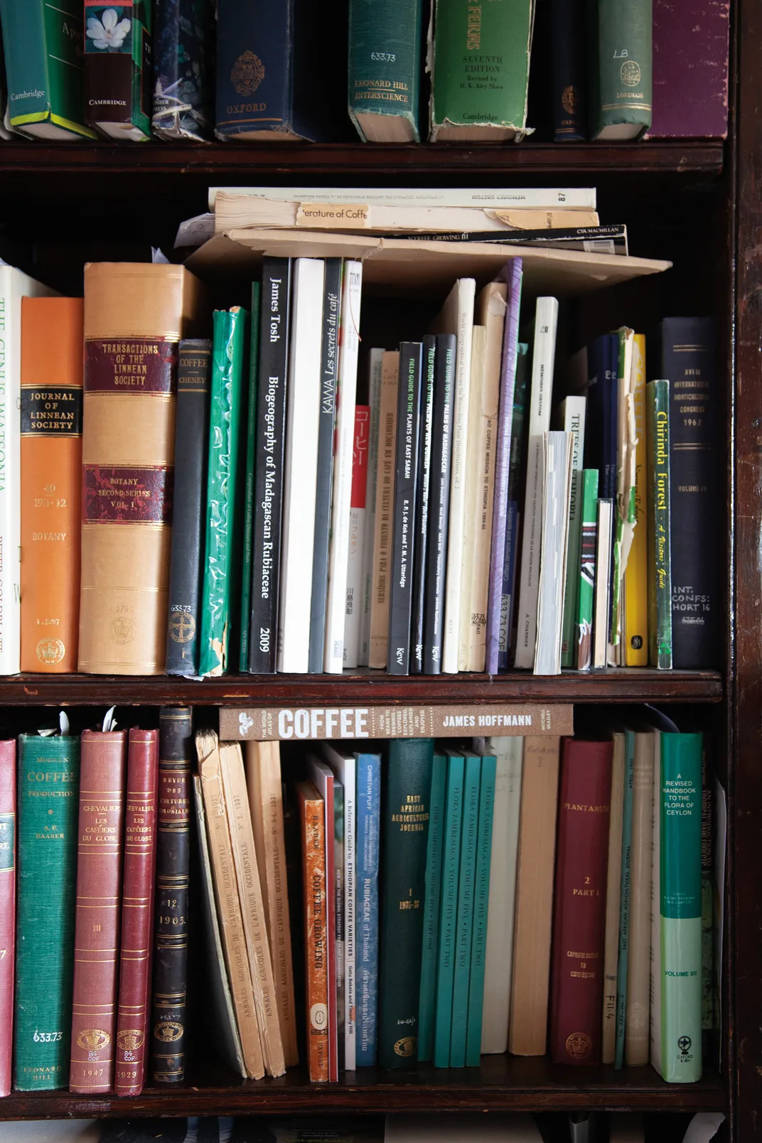 a book shelf