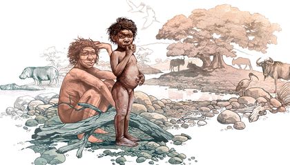 Two Million Years Ago, This Homo Erectus Lived the High Life