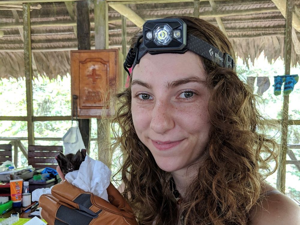 Headshot of a person under a canopy wearing a headlamp and holding a bat in gloved hands near their face