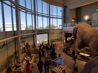 Museum of Idaho