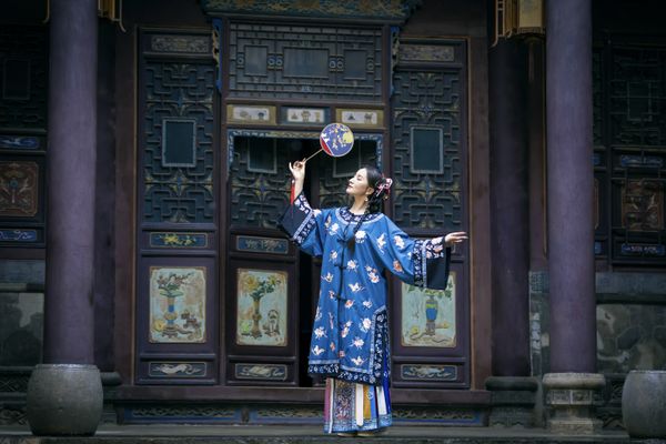 The Woman in the Ancient House thumbnail