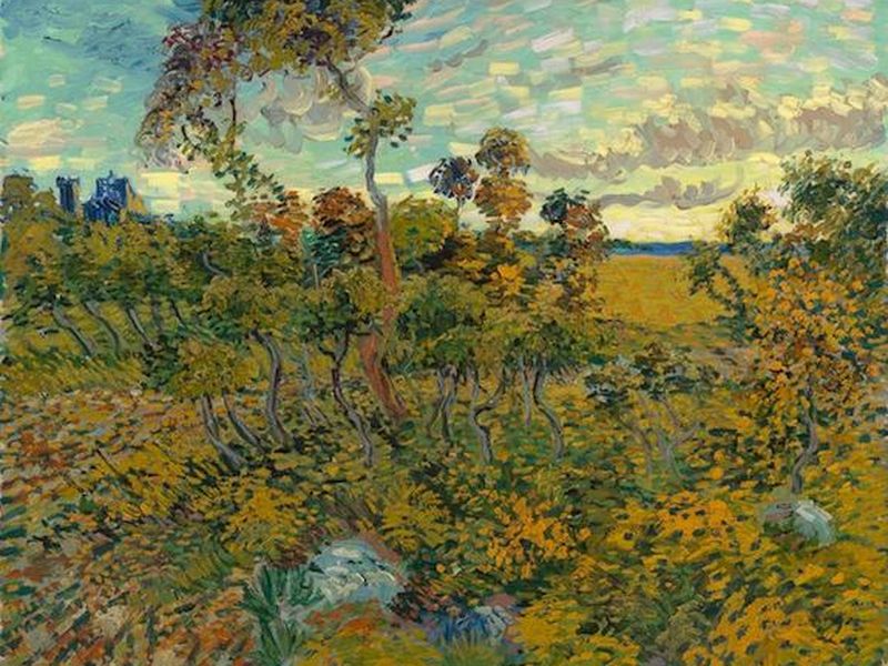 Van 2025 gogh collectie