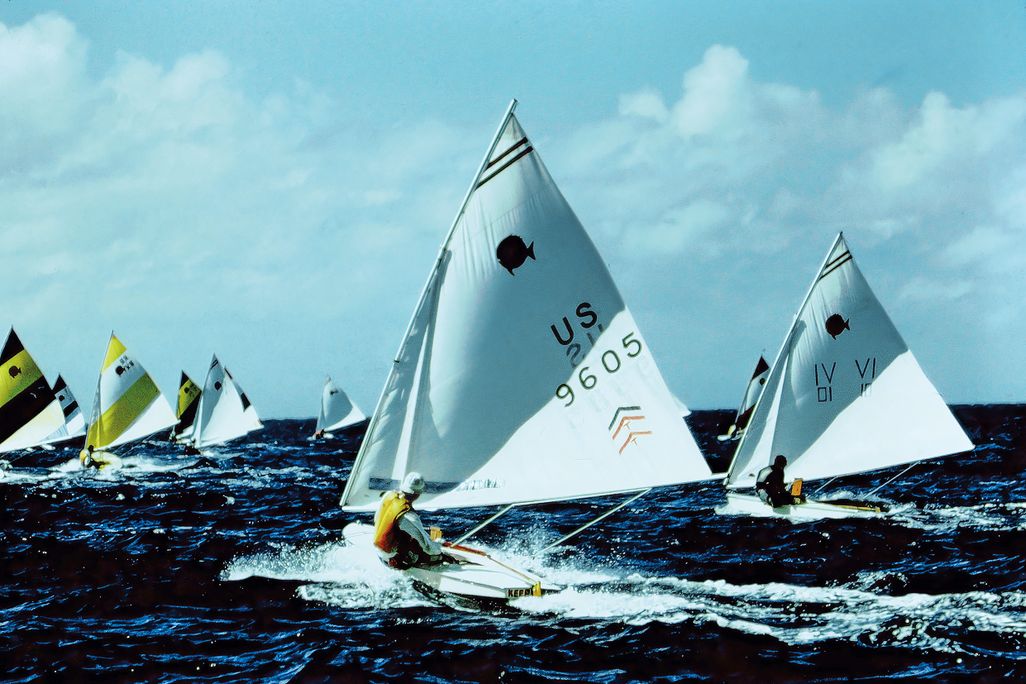 a group of one manned sailboats racing in the ocean