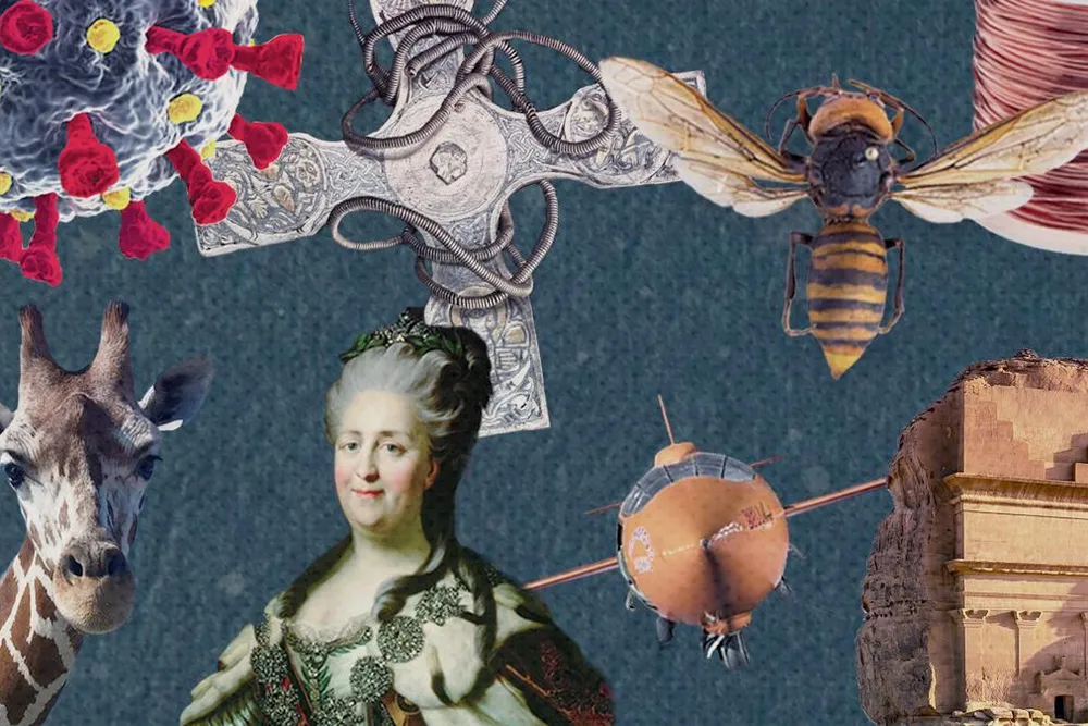 Top ten Smithsonian stories of 2020 illustration (longform)
