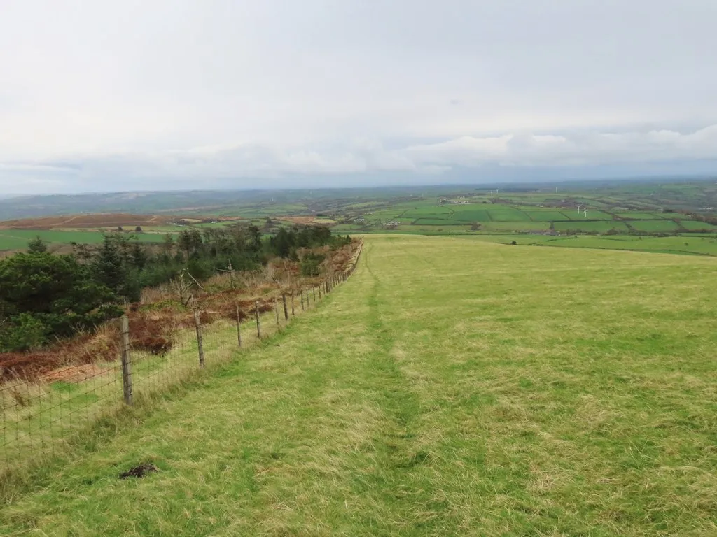 The slopes of Frenni Fawr