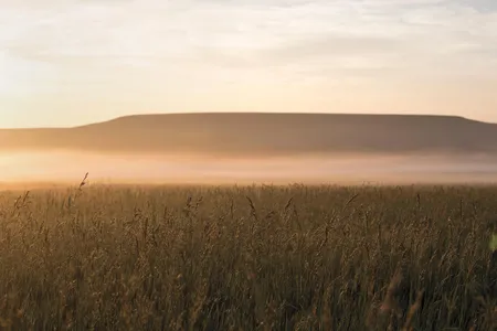 Early morning fog drapes a field in the Flints Hills of Kansas.