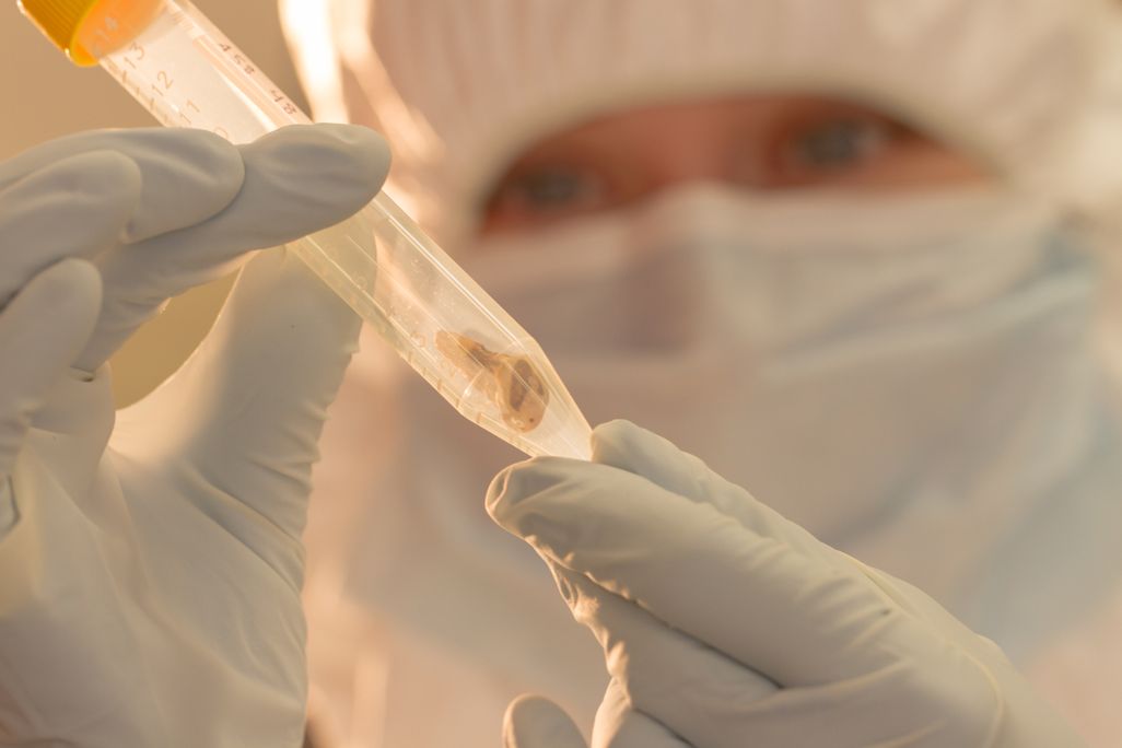 B_Jennifer Klunk examines a sample (tight).jpg