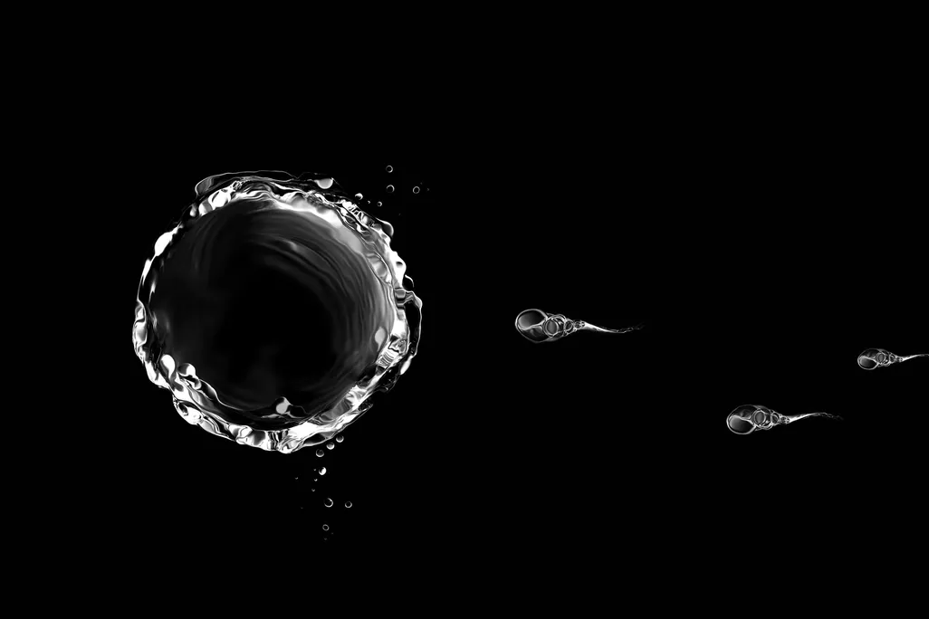 Sperm