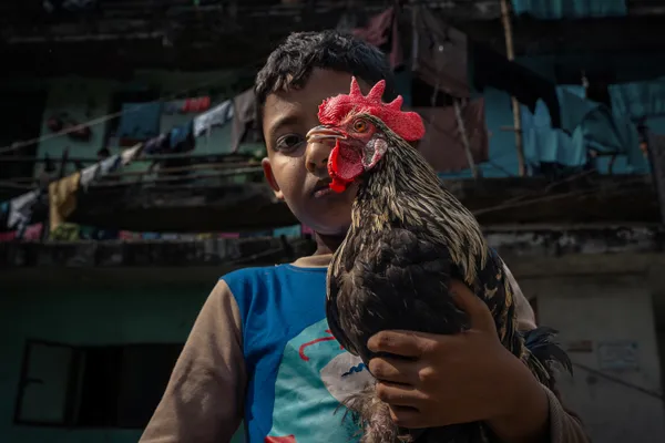 Tenderness in the Alley thumbnail