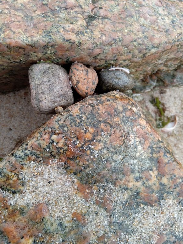 Beach pebbles between beach stones on Cape Cod thumbnail