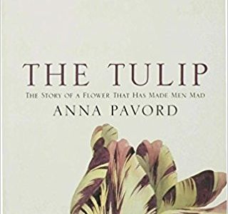 The Tulip: The Story of the Flower That Has Made Men Mad