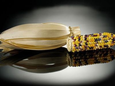Theresa Secord (Penobscot, b. 1958). Ear of corn basket, 2003. Maine. 26/1694. By looking at Thanksgiving in the context of living cultures, we can make the holiday a more meaningful part of teaching and learning, in school and at home.