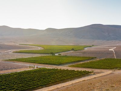 Green patches of Nana Estate Winery in the arid desert. 
