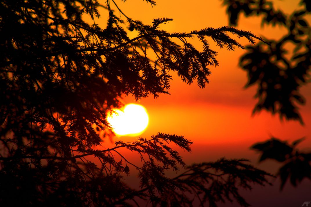 Sunrise in Farmington, CT Smithsonian Photo Contest Smithsonian