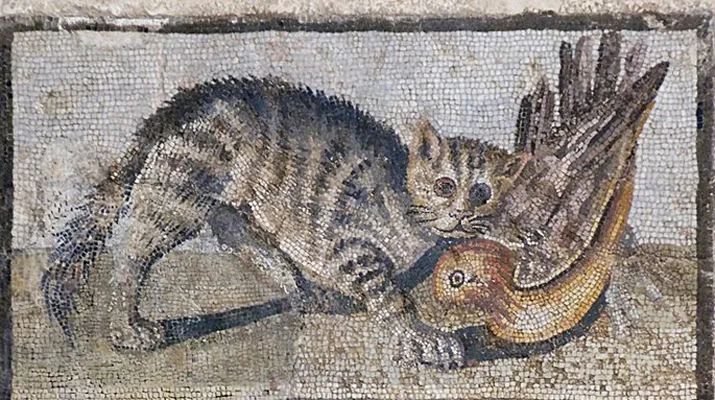 Mosaic-of-cats-and-ducks-Massimo715.jpg